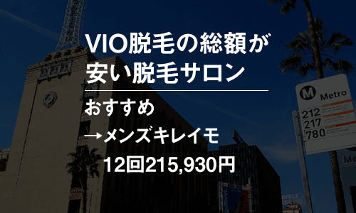 メンズVIO脱毛を完了まで通った場合の総額が安いサロン