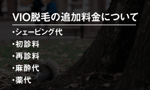 VIO脱毛の追加料金について
